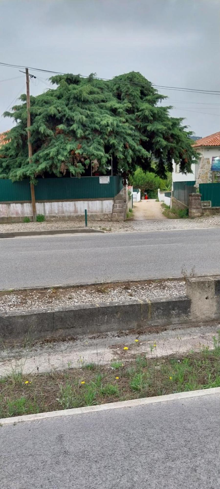 Homestay O Meu Canto Sintra