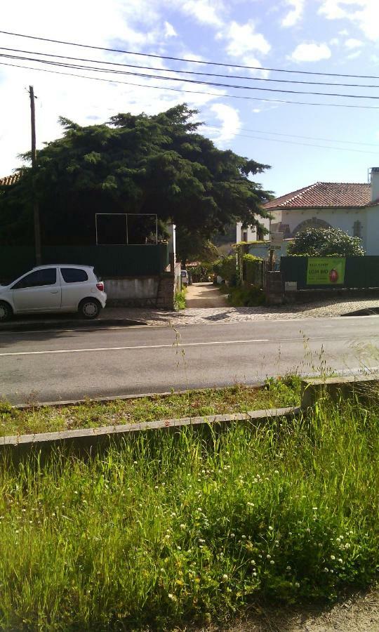 O Meu Canto * Sintra